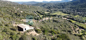 Villa al rustico con un ettaro vicino ad Olbia