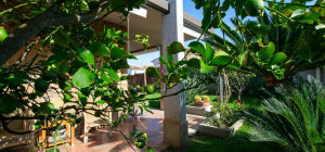 Villa Indipendente a Olbia: Un\'oasi di tranquillità e spazio