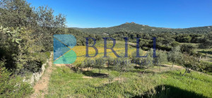 Panoramic agricultural land with approved plans for a country house and swimming pool