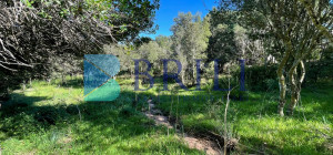 Panoramic agricultural land with approved plans for a country house and swimming pool