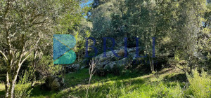 Panoramic agricultural land with approved plans for a country house and swimming pool