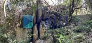 Panoramic agricultural land with approved plans for a country house and swimming pool