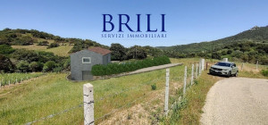 Panoramic agricultural land with approved plans for a country house and swimming pool