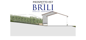 Panoramic agricultural land with approved plans for a country house and swimming pool