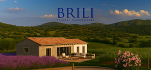 Panoramic agricultural land with approved plans for a country house and swimming pool