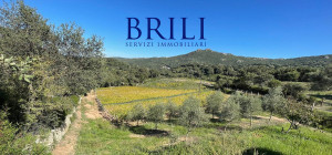 Panoramic agricultural land with approved plans for a country house and swimming pool