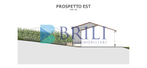 Panoramic agricultural land with approved plans for a country house and swimming pool