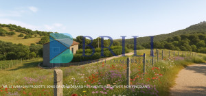 Panoramic agricultural land with approved plans for a country house and swimming pool