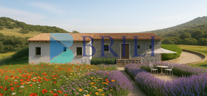 Panoramic agricultural land with approved plans for a country house and swimming pool