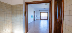 Apartment in Central Arzachena