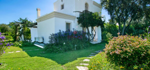 Elegante villa con piscina a Is Molas