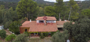 Villa rustica con vigna e uliveto