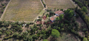 Villa rustica con vigna e uliveto