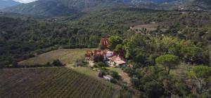 Villa rustica con vigna e uliveto