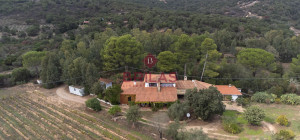 Villa rustica con vigna e uliveto