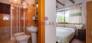 Villa rustica con vigna e uliveto