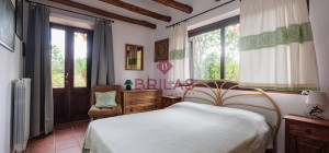 Villa rustica con vigna e uliveto