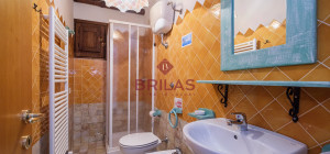 Villa rustica con vigna e uliveto