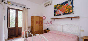 Villa rustica con vigna e uliveto