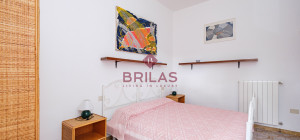 Villa rustica con vigna e uliveto