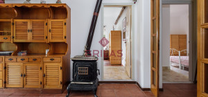 Villa rustica con vigna e uliveto
