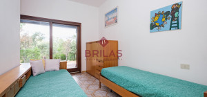 Villa rustica con vigna e uliveto