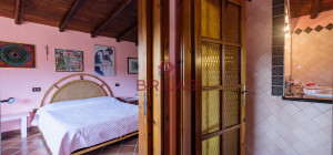 Villa rustica con vigna e uliveto
