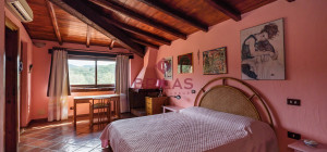 Villa rustica con vigna e uliveto