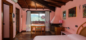 Villa rustica con vigna e uliveto