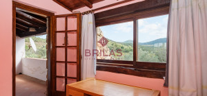 Villa rustica con vigna e uliveto