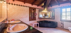 Villa rustica con vigna e uliveto