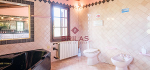 Villa rustica con vigna e uliveto