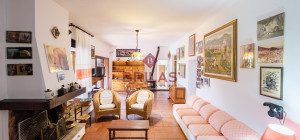 Villa rustica con vigna e uliveto