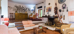 Villa rustica con vigna e uliveto