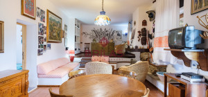 Villa rustica con vigna e uliveto
