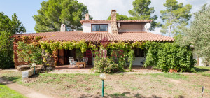 Villa rustica con vigna e uliveto