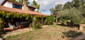 Villa rustica con vigna e uliveto