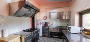 Villa rustica con vigna e uliveto