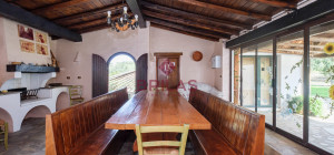 Villa rustica con vigna e uliveto