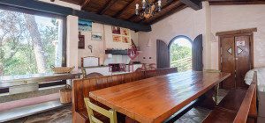 Villa rustica con vigna e uliveto