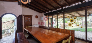 Villa rustica con vigna e uliveto