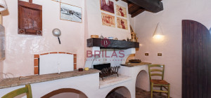 Villa rustica con vigna e uliveto
