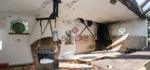 Villa rustica con vigna e uliveto