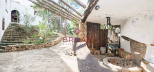 Villa rustica con vigna e uliveto