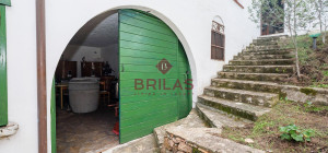 Villa rustica con vigna e uliveto