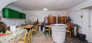 Villa rustica con vigna e uliveto