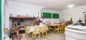 Villa rustica con vigna e uliveto