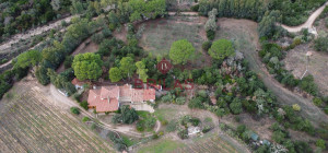 Villa rustica con vigna e uliveto