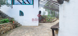 Villa rustica con vigna e uliveto