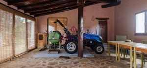 Villa rustica con vigna e uliveto